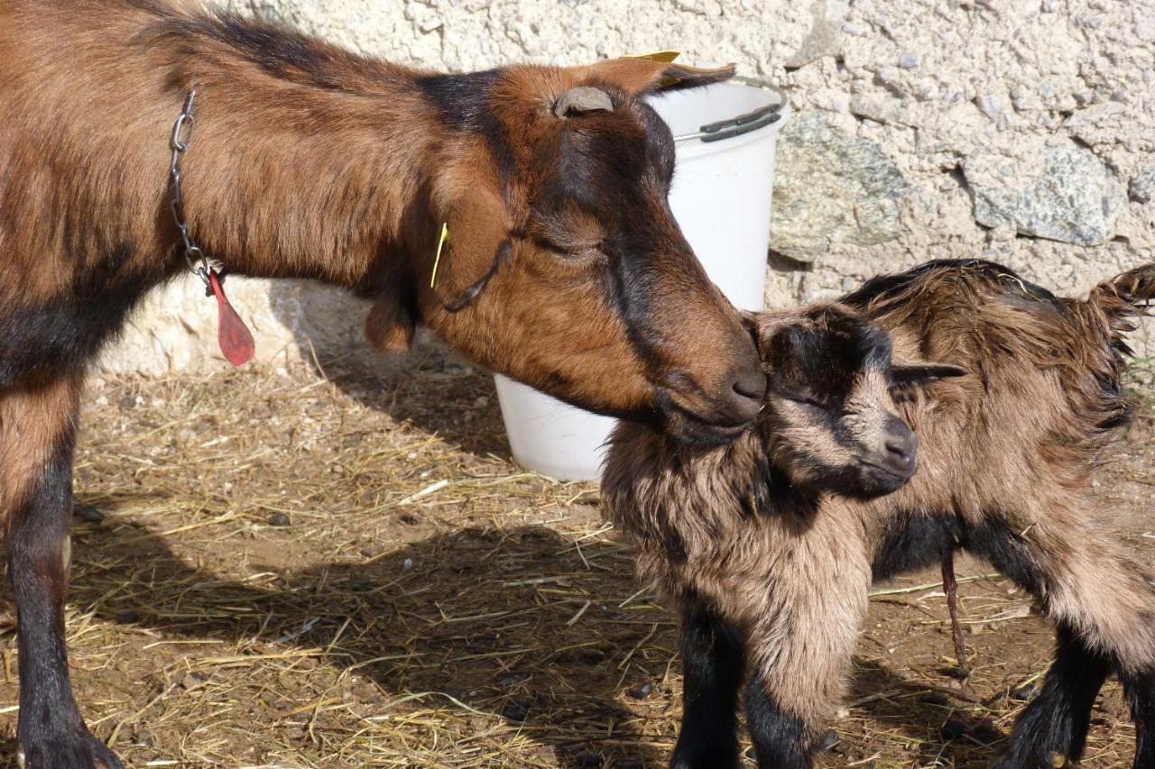 Agriturismo La Meta Pieve di Bono Eksteriør bilde